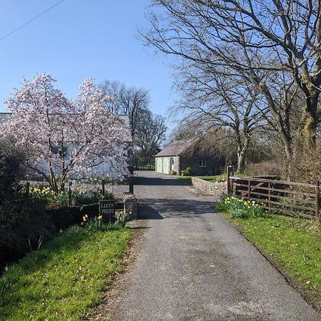 Dinefwr Cottage Carmarthen Dış mekan fotoğraf
