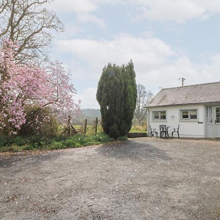 Dinefwr Cottage Carmarthen Dış mekan fotoğraf