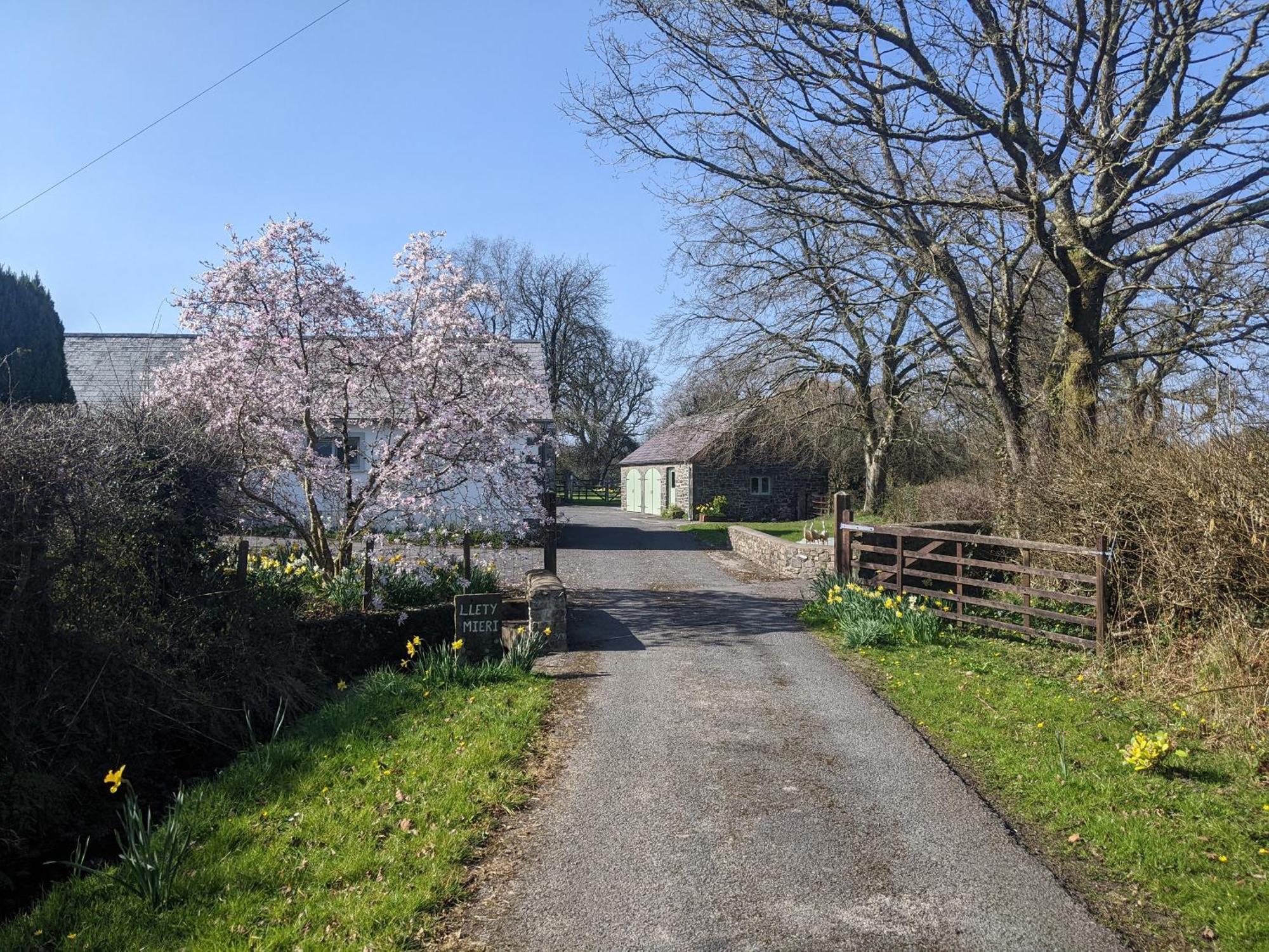 Dinefwr Cottage Carmarthen Dış mekan fotoğraf